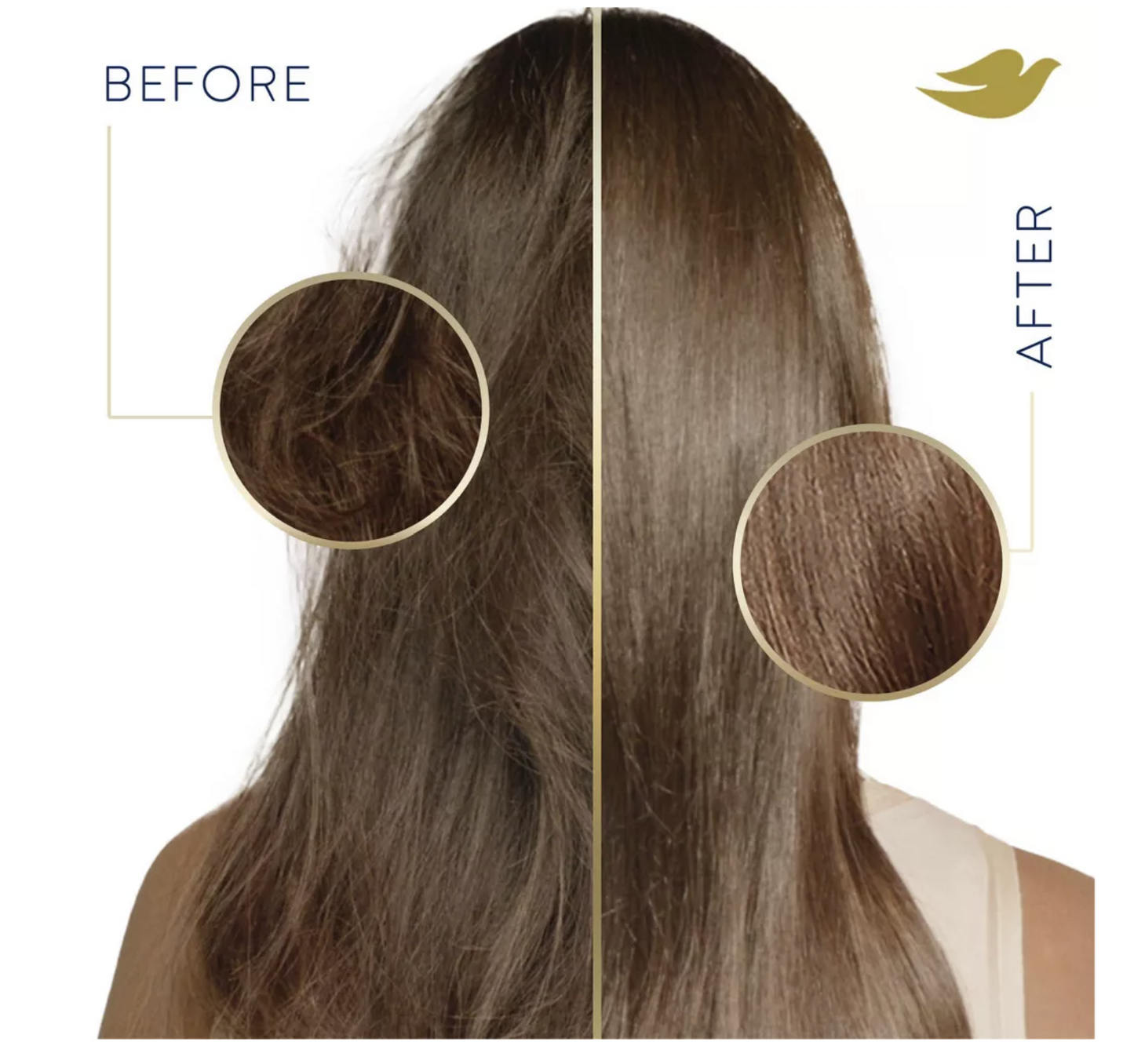 Dove Beauty Daily Moisture Conditioner for Dry Hair 25.4 fl oz