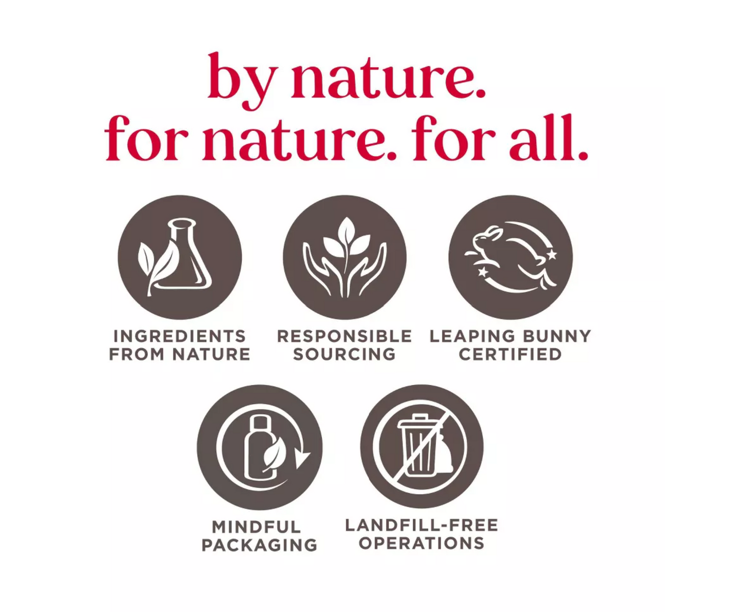 Burt's Bees Freshly Picked Lip Balm - 4pk