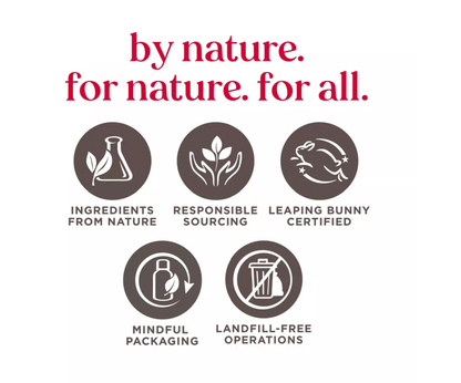 Burt's Bees Freshly Picked Lip Balm - 4pk