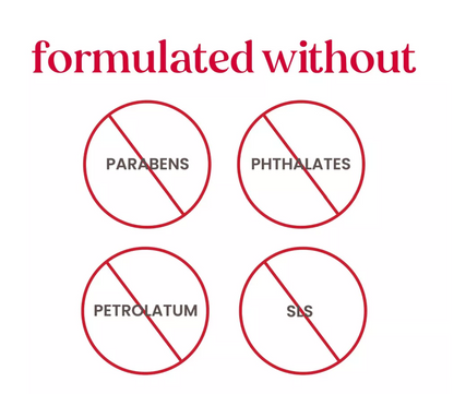 Burt's Bees Freshly Picked Lip Balm - 4pk