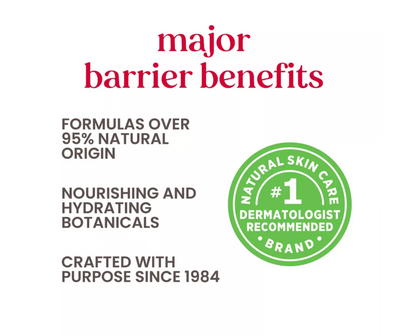 Burt's Bees Freshly Picked Lip Balm - 4pk