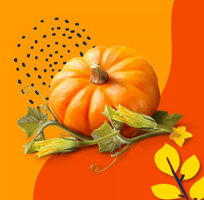 Beloved Pumpkin and Tonka 2-Wick Candle - 11.5oz