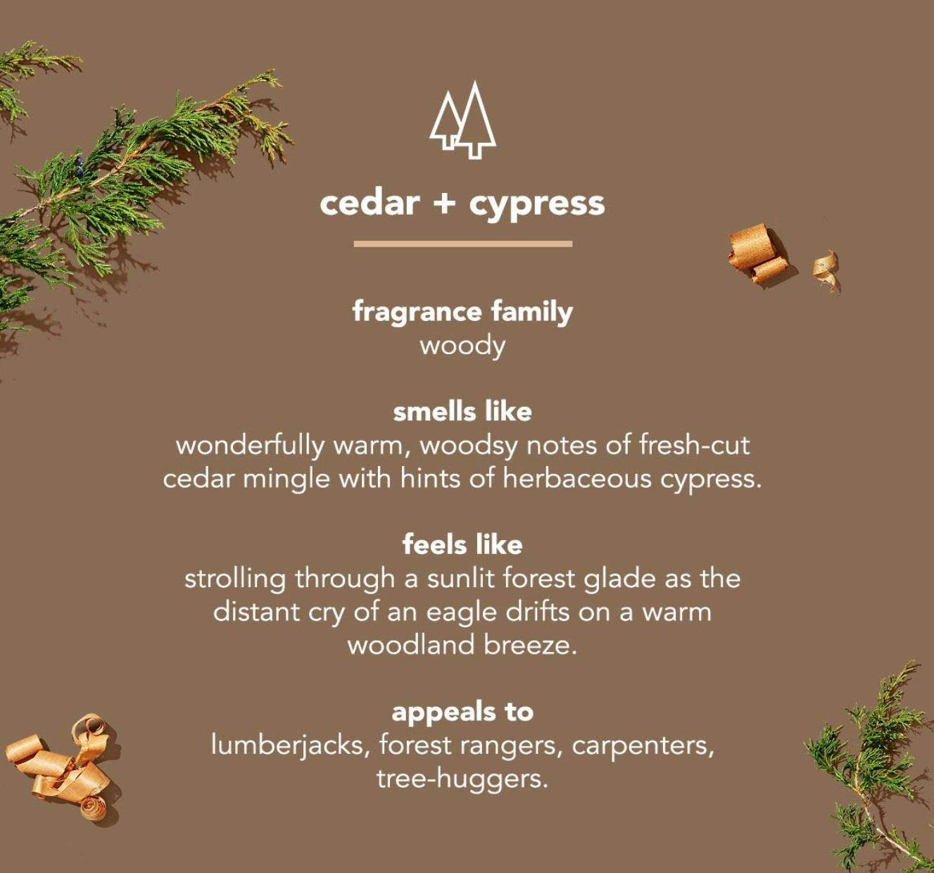 Method Men 2-in-1 Shampoo and Conditioner Cedar + Cypress - 14 fl oz