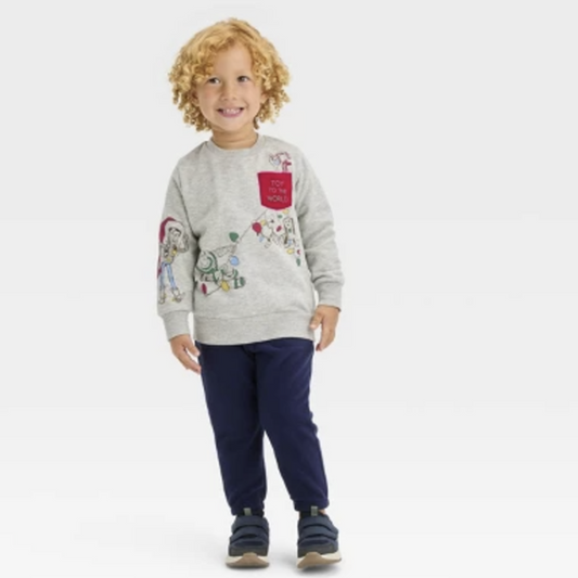 Toddler Boys' Disney Toy Story Printed Sweatshirt – Gray